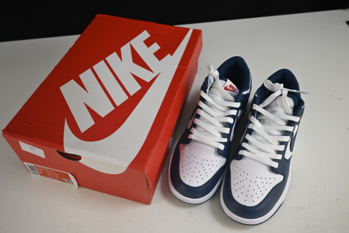 nike dunk low valerian blue dd1391-400