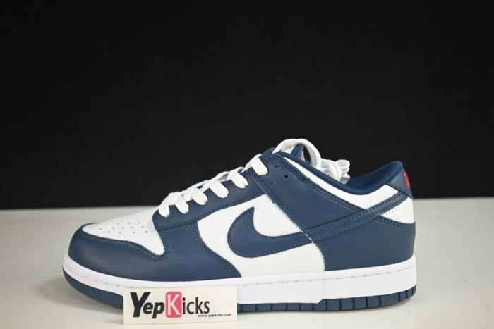 nike dunk low valerian blue dd1391-400