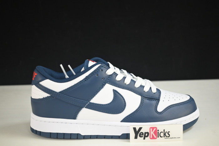 nike dunk low valerian blue dd1391-400