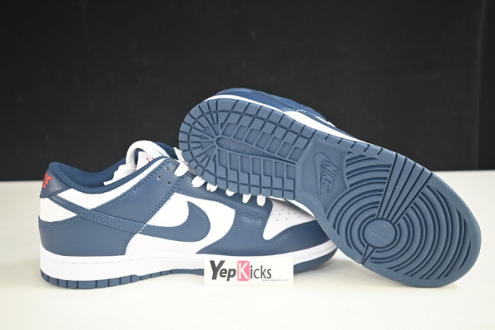 nike dunk low valerian blue dd1391-400