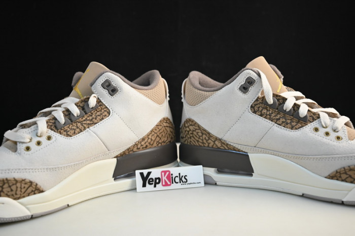 air jordan 3 “palomino” ct8532-102