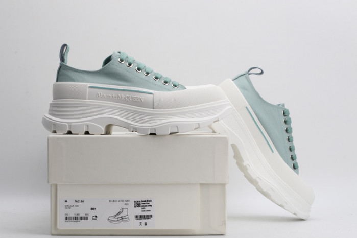 alexander mcqueen e2616