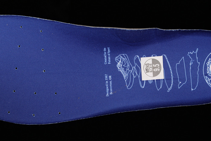 nike air max 1 premium blueprint dr0448-100