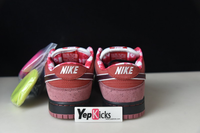nike low concepts red lobster 313170-661