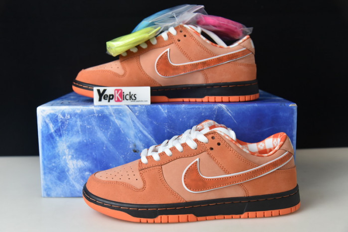 nike dunk low concepts orange lobster fd8776-800
