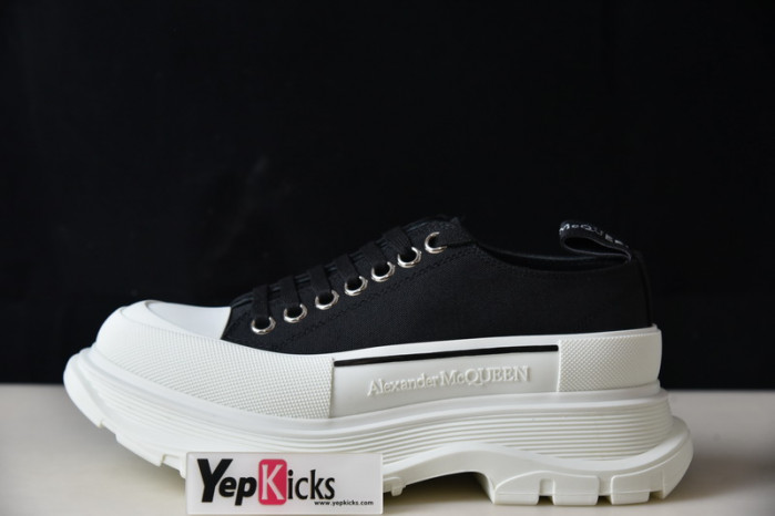 alexander mcqueen e2543