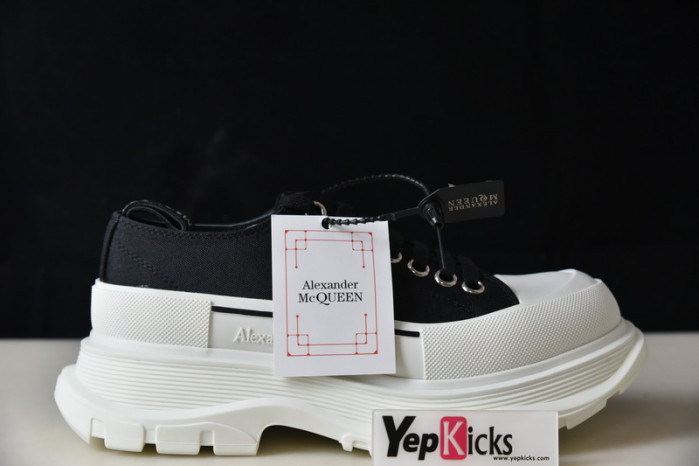 alexander mcqueen e2543