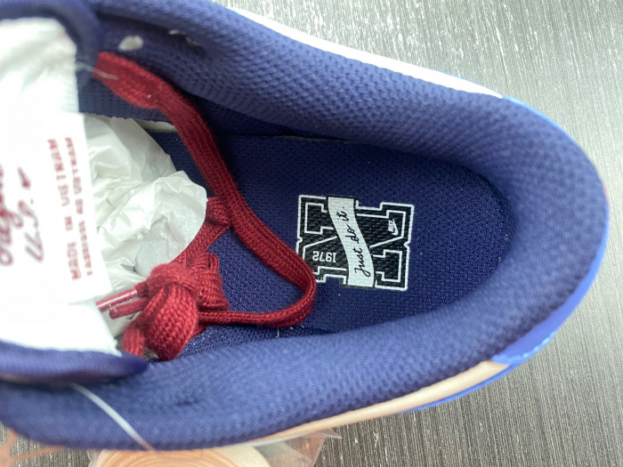 dunk low “from nike to you” fv8113-141