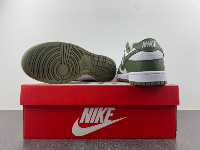 nike dunk low medium olive dd1503-120