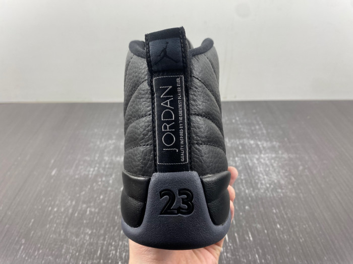 air jordan 12 ct8013-019