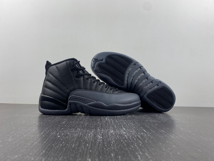 air jordan 12 ct8013-019