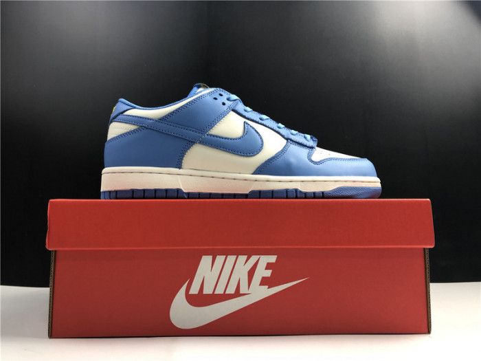 nike dunk low coast dd1503-100
