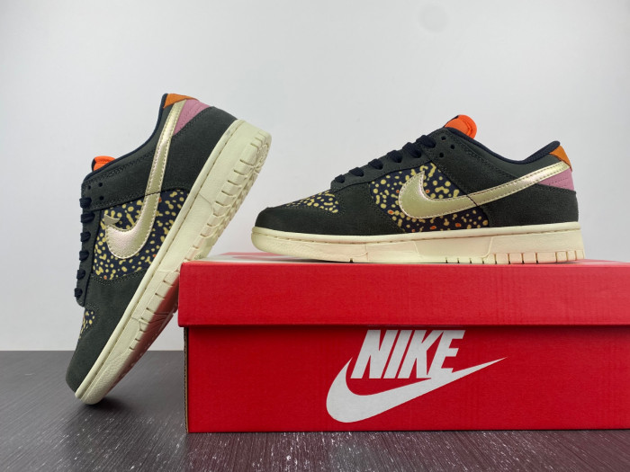 nike dunk low rainbow trout fn7523-300